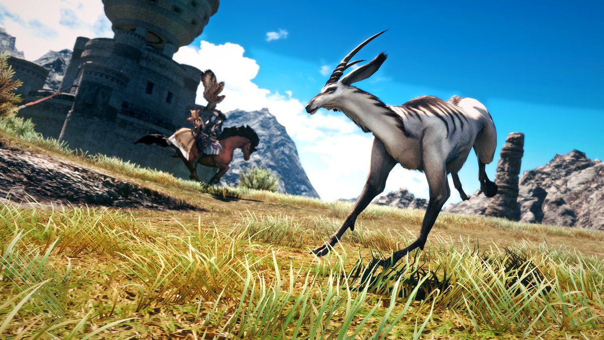 Good hunting!
w/ <a href="/Lil_Calla_Lily/">C’alla Lily</a>