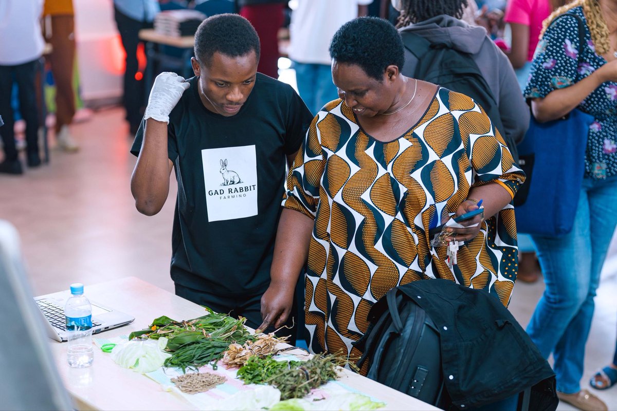 Kepler College tweet media