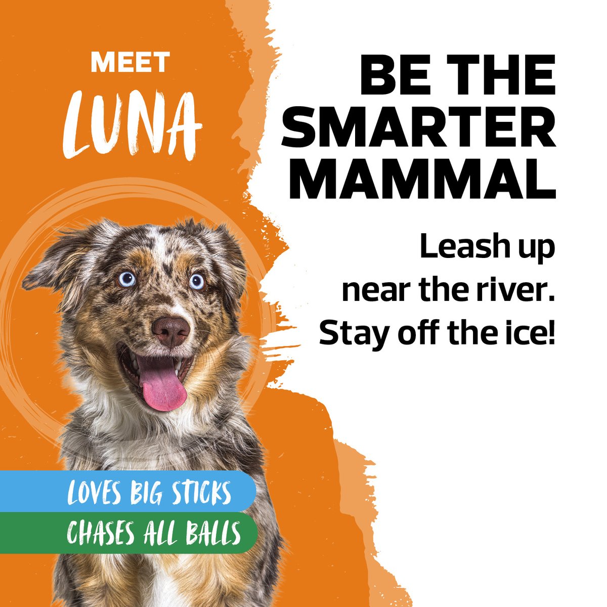 Edmonton Fire Rescue Services tweet media