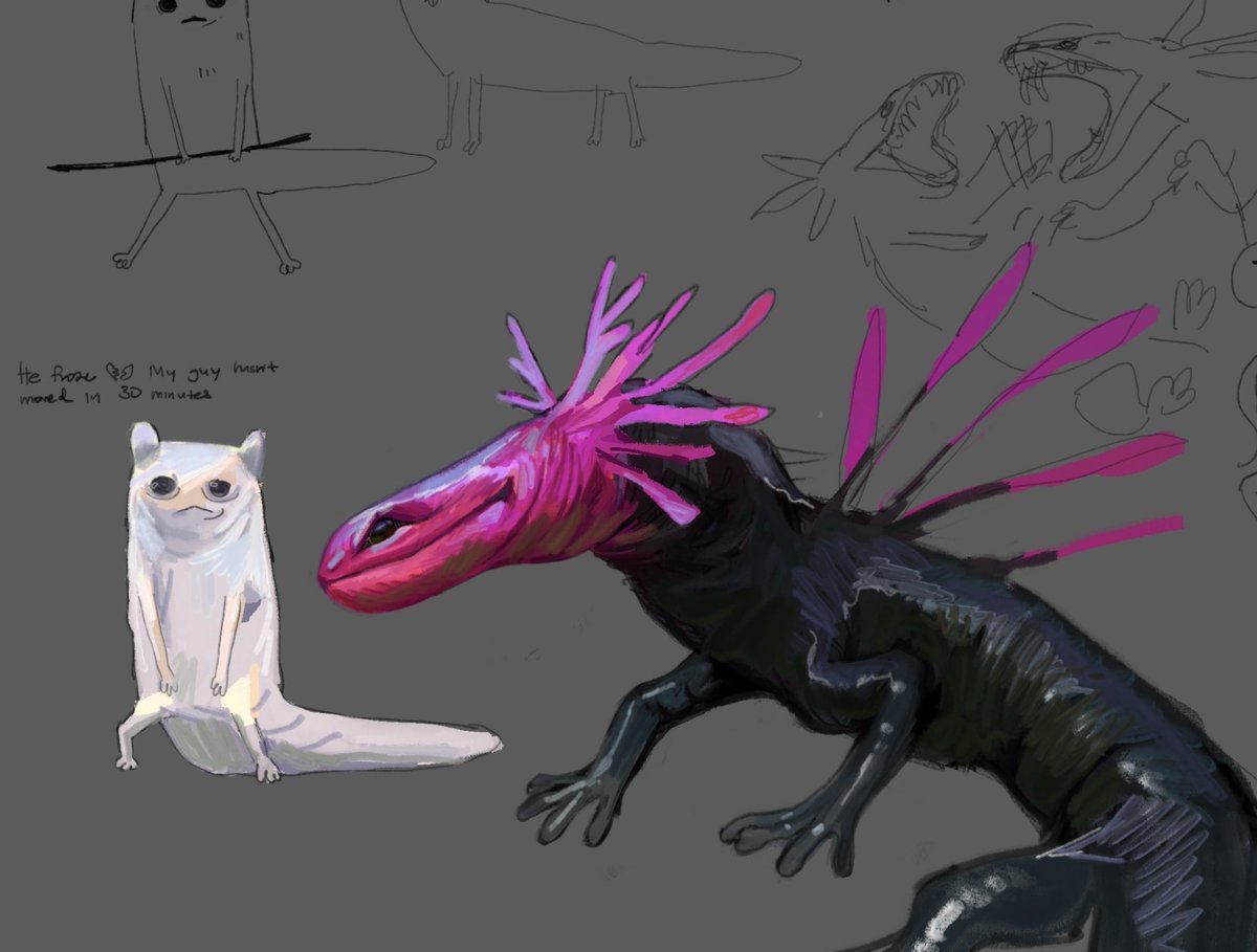 Petrisolaris tweet media