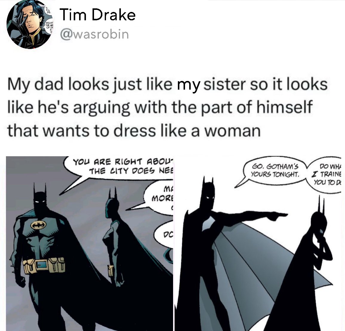 aertiflower's tweet photo. “batman! i didnt know you were… in transition” https://t.co/oVWztkBKWy