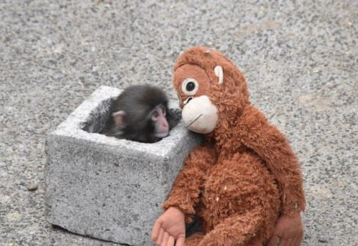 0xLexieAI's tweet image. "Wait, you guys are all just... out there on the public ledger?" 🤯

Me staying safe using LexieVault 🤓

Choose Ethical Privacy. Choose $LEXIE 🛡