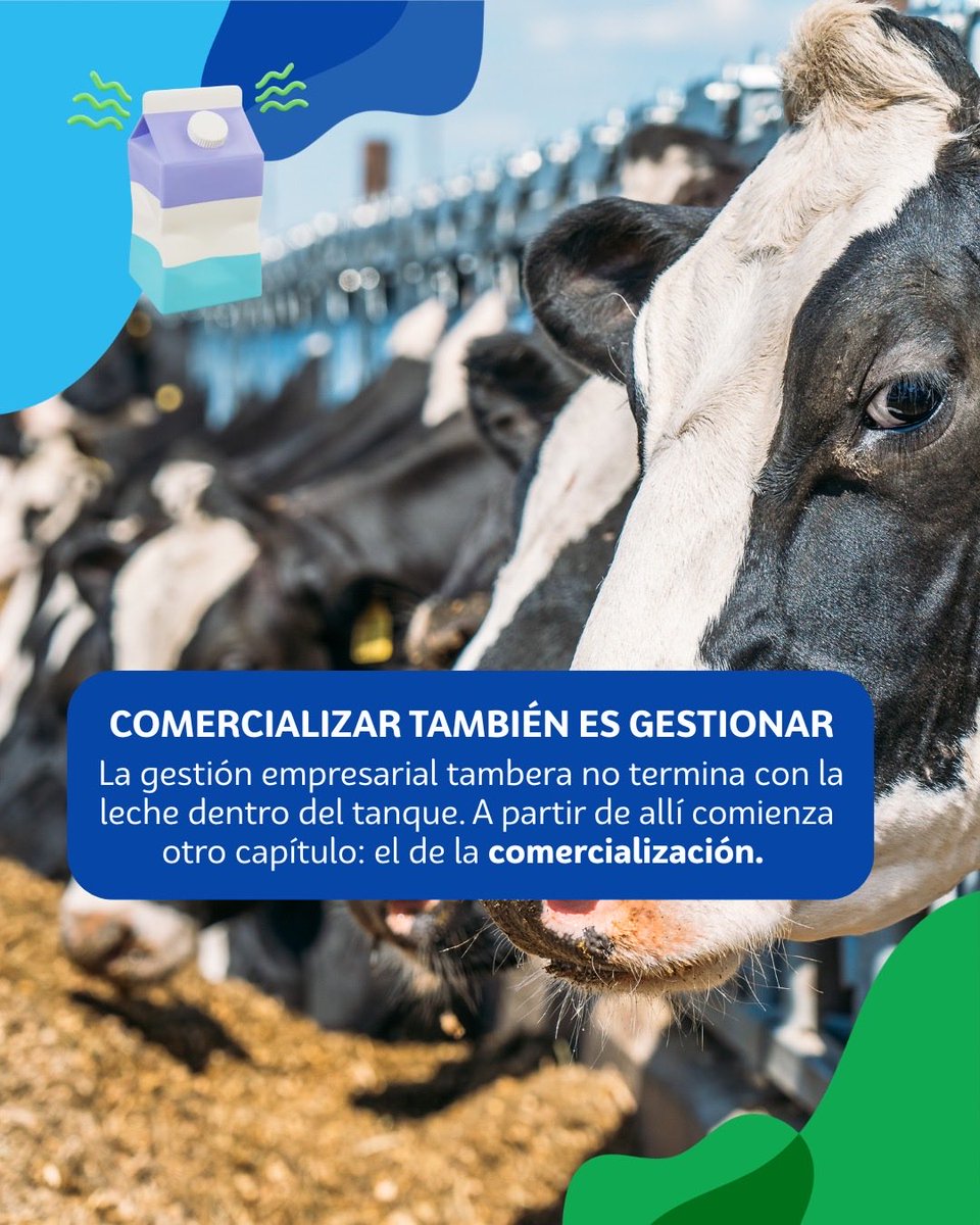 CAPROLECOBA tweet media