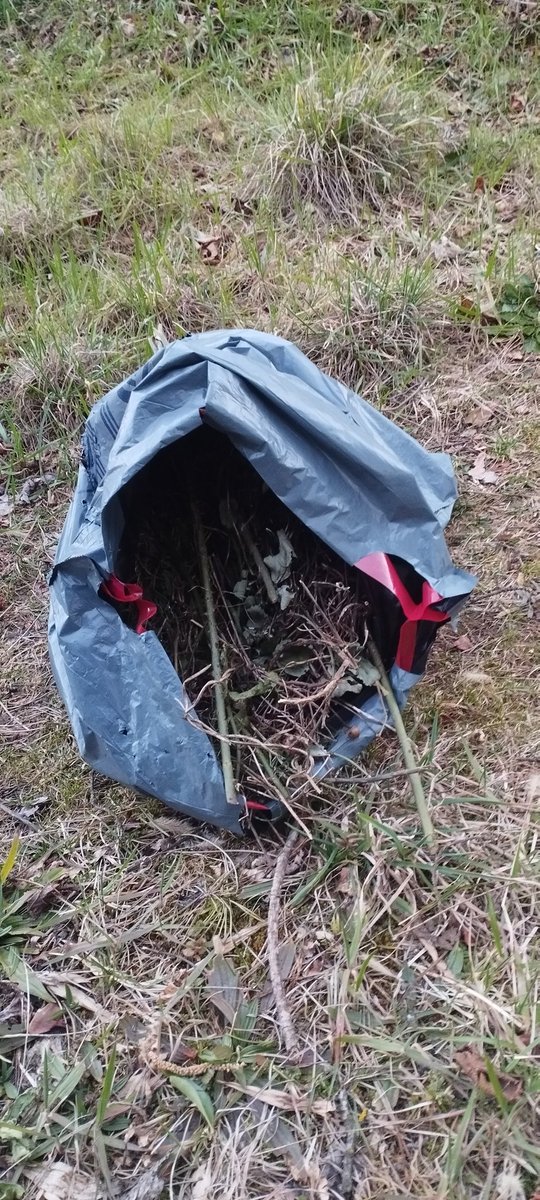 Jo es que a vegades alucino amb la gent i lo ignorants o no se què qué son. De debò en una zona rural al mig d'un camí al costat de casa hi ha d'haver una bossa d'escombraries amb 4 rames? Quina gent tenim al poble?
Que el meu compostatge esta a menys de 10 metres he. Flipant.
