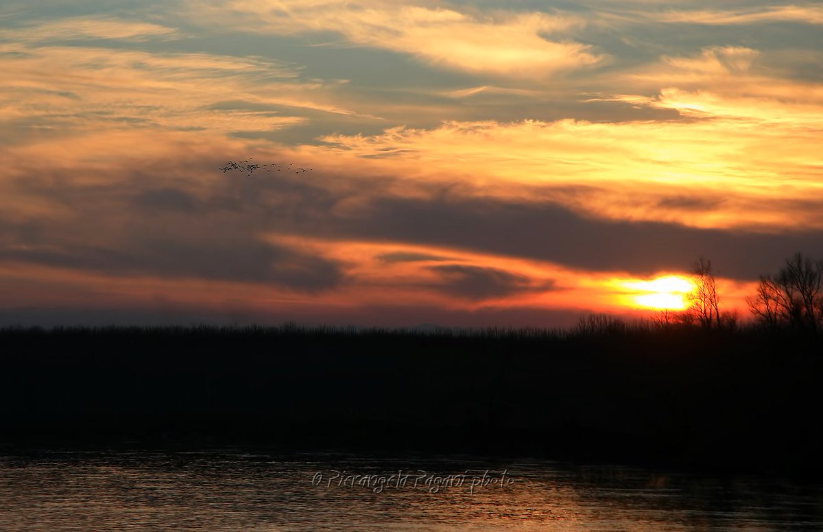 @ferrarisergio4 tweet media