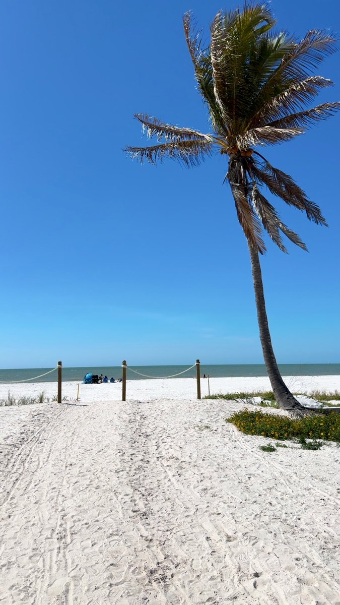 kristen. ⭐️ tweet media