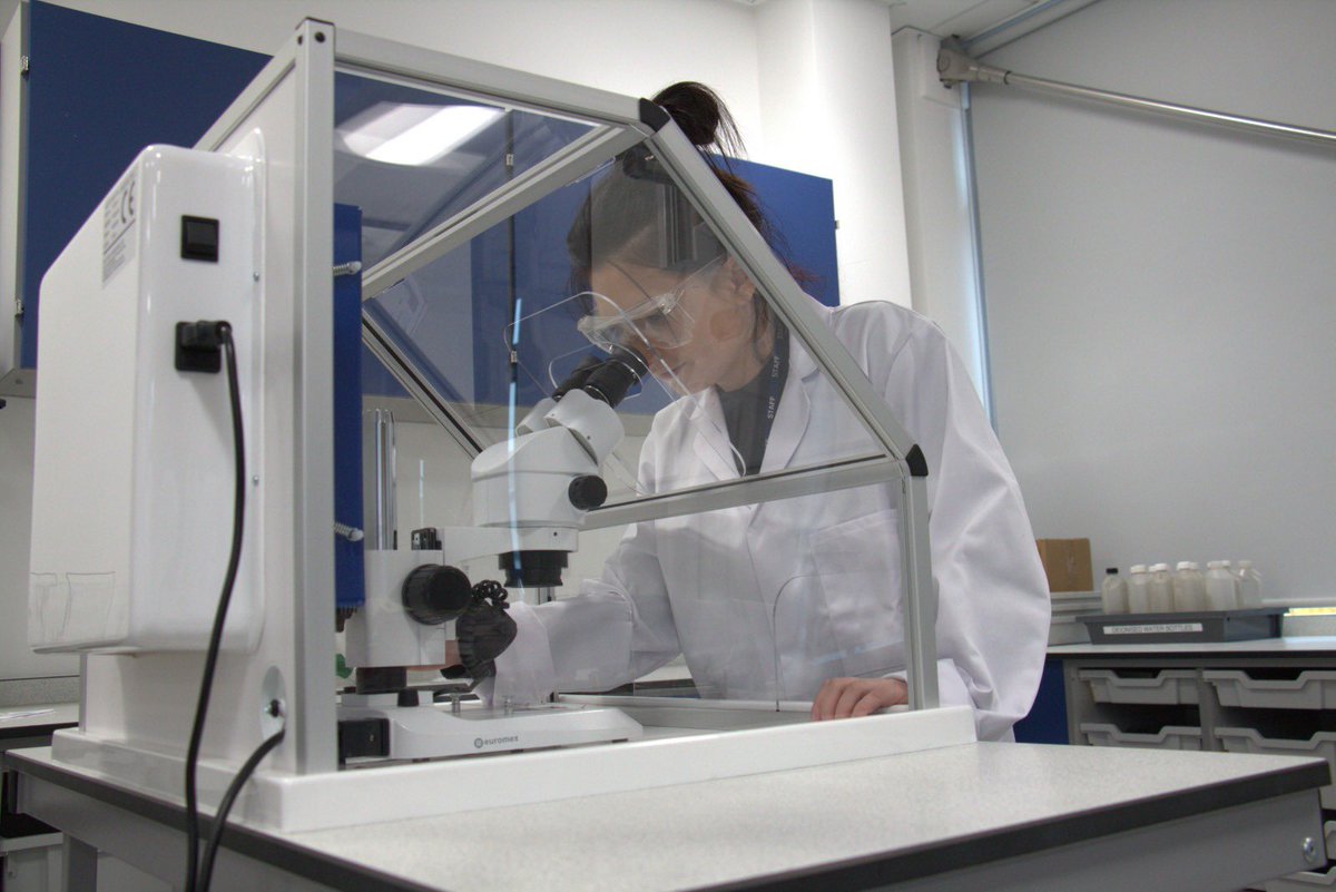 Waysafe by Solotec tweet media