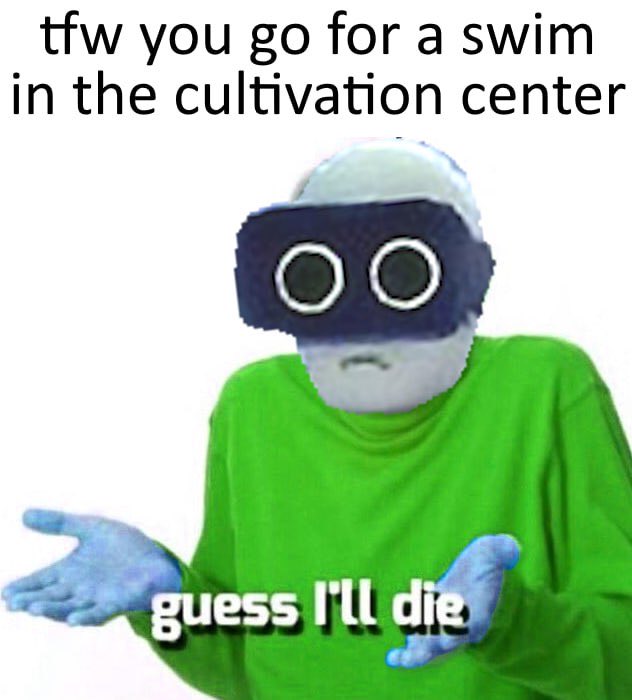 Meme stolen from our discord. If you know, you know.