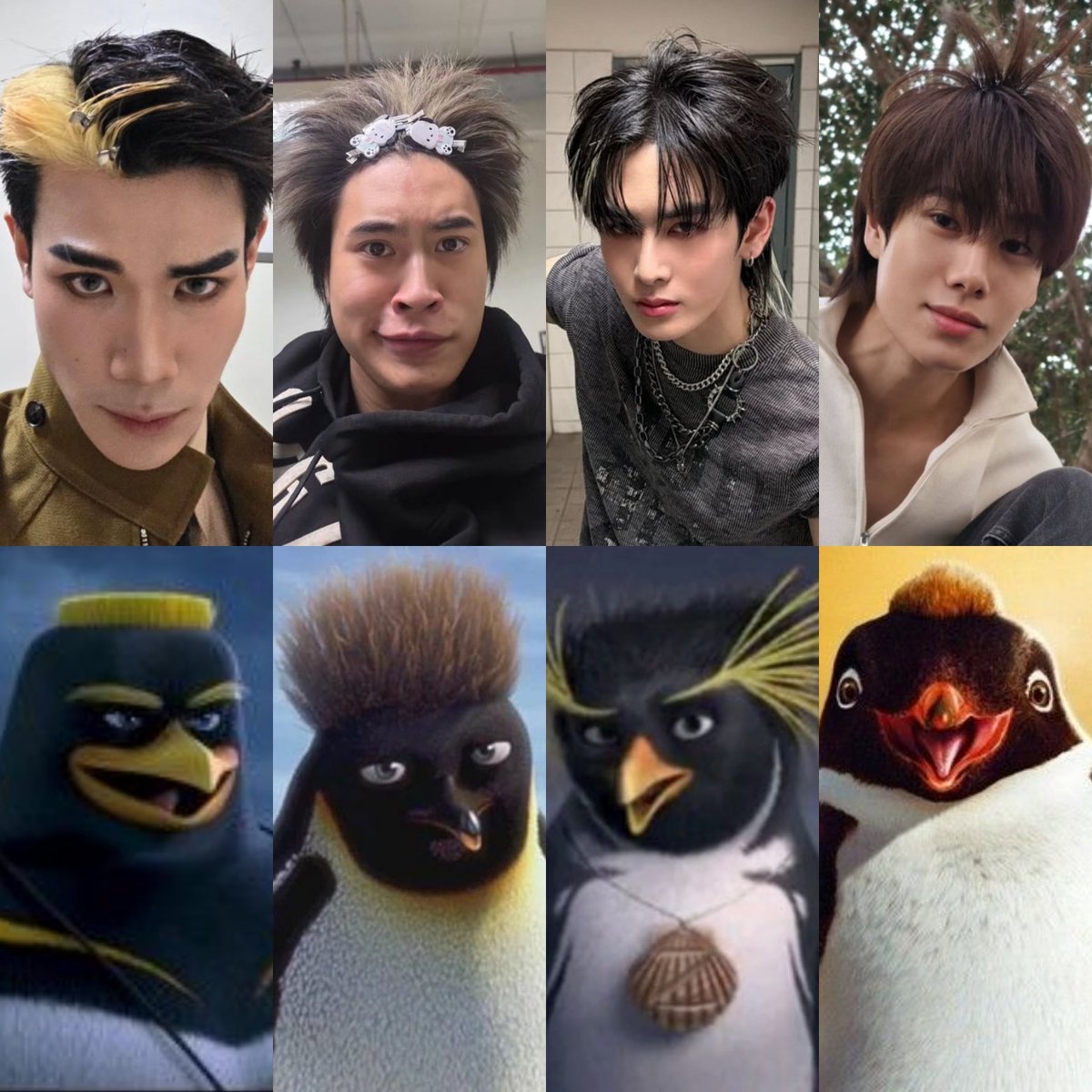 ลองเป็นเพนกวินกันหมดดูจะได้ไม่ล้อกัน  🐧🐧🐧🐧