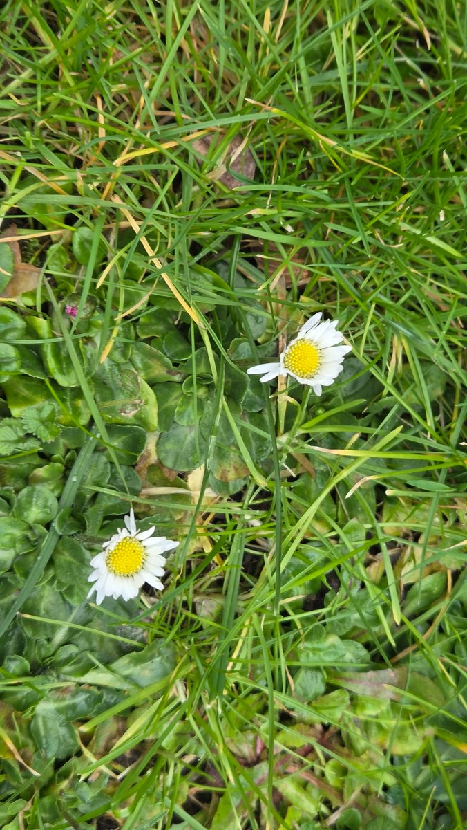 Frühling?