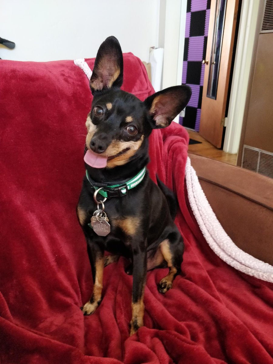 This game is fun, chaotic, and also features a cameo from Captain. Get it and defeat hyper capitalism and pet this old boy if you see him.