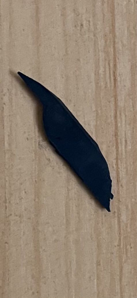 myrna thuis tweet media