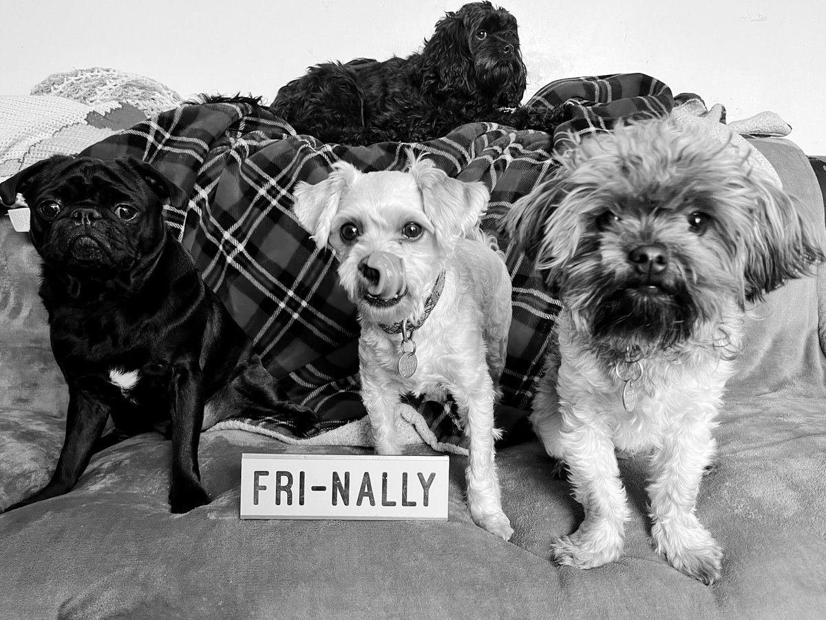 HymenCahoots tweet media