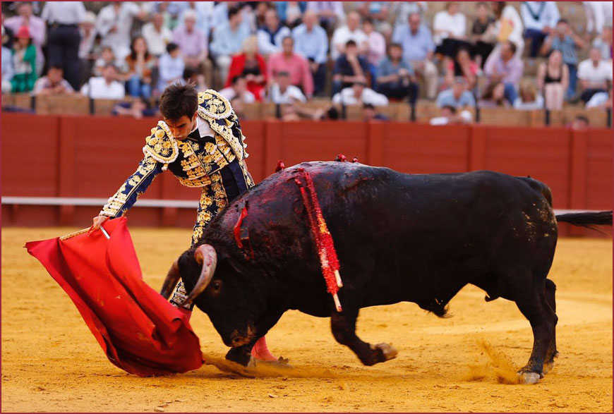 Toros Ecuador tweet media