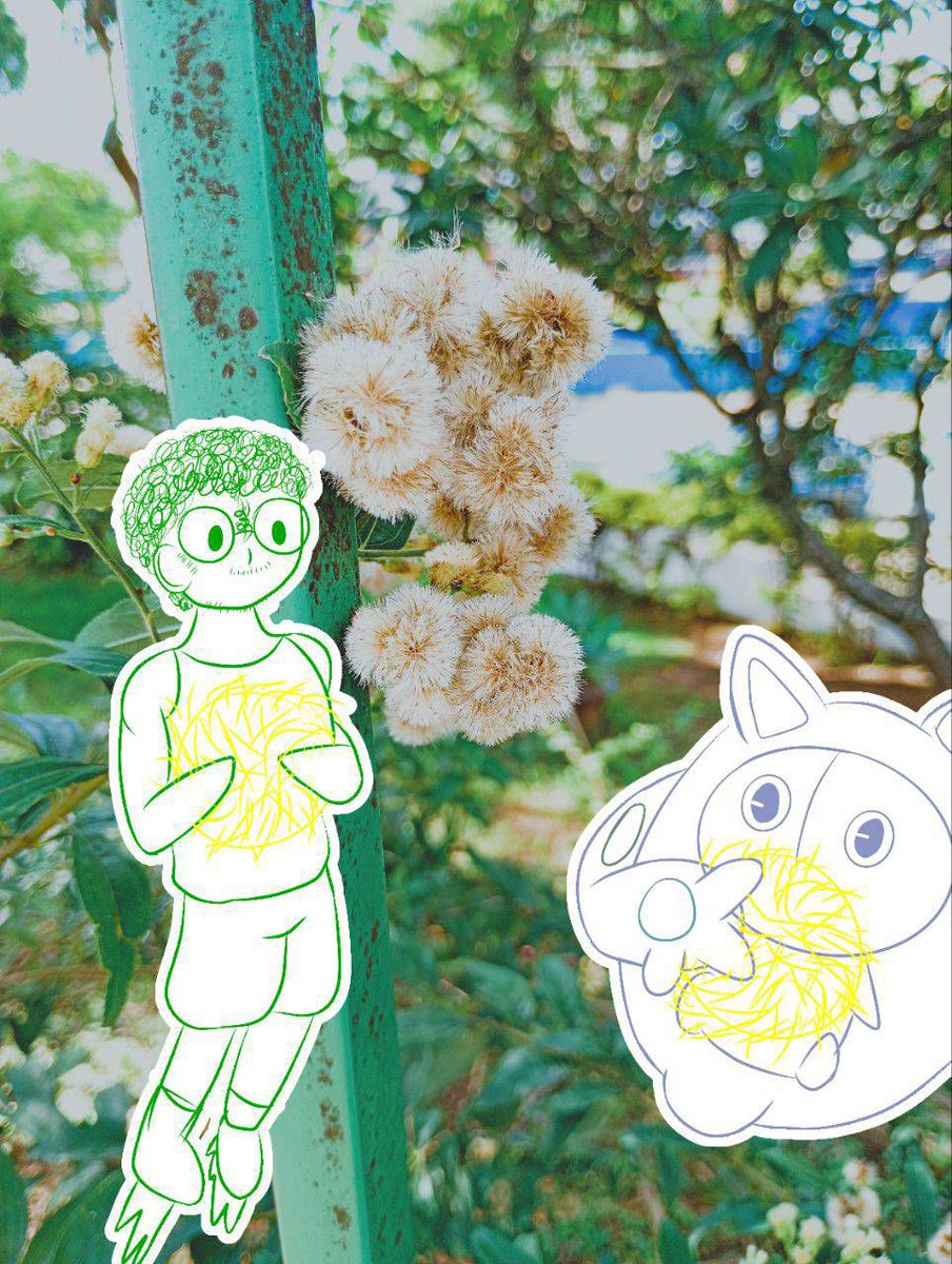 🌿𝙑𝙞𝙣𝙪𝙨𝙥𝙞𝙣𝙠𝘿🐸⚣︎ tweet media