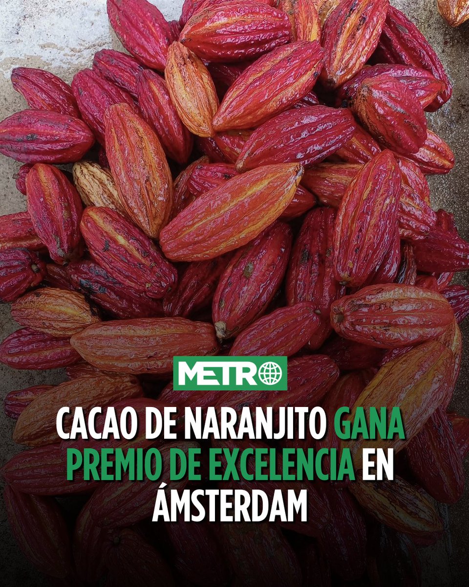 Hacienda Terruño JS, ubicada en el barrio Cedro Arriba de Naranjito, fue reconocida con bronce como parte de los Cacao of Excellence Awards | Detalles aquí: bit.ly/4s0uZMI