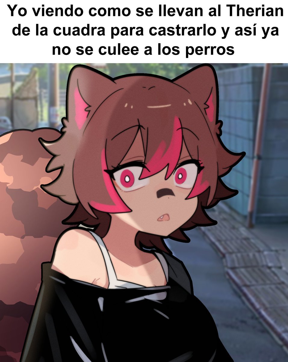 Rakkun 🦝🍀 tweet media