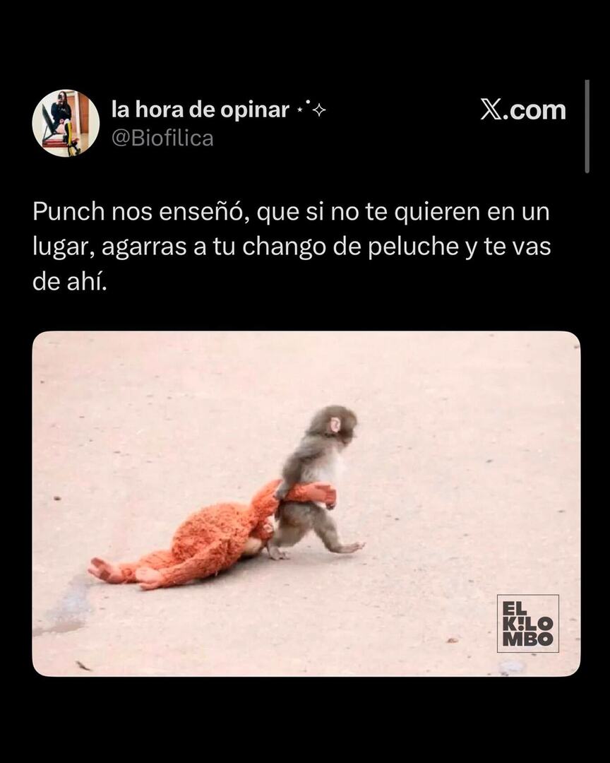 elKilombo tweet media