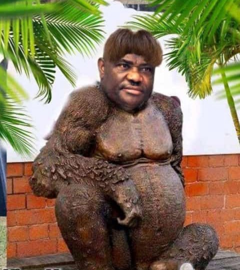 TENIBEGILOJU202's tweet image. BREAKING!!! THIS ANIMAL IS MAKING PLANS WITH TELECOMS OPERATORS TO SHUT DOWN NETWORK TOMORROW... He thinks FCT is like Rivers where he threatens people to write results, let's see how it goes. May be tomorrow will ignite what we have been avoiding. Retweet massively pls.