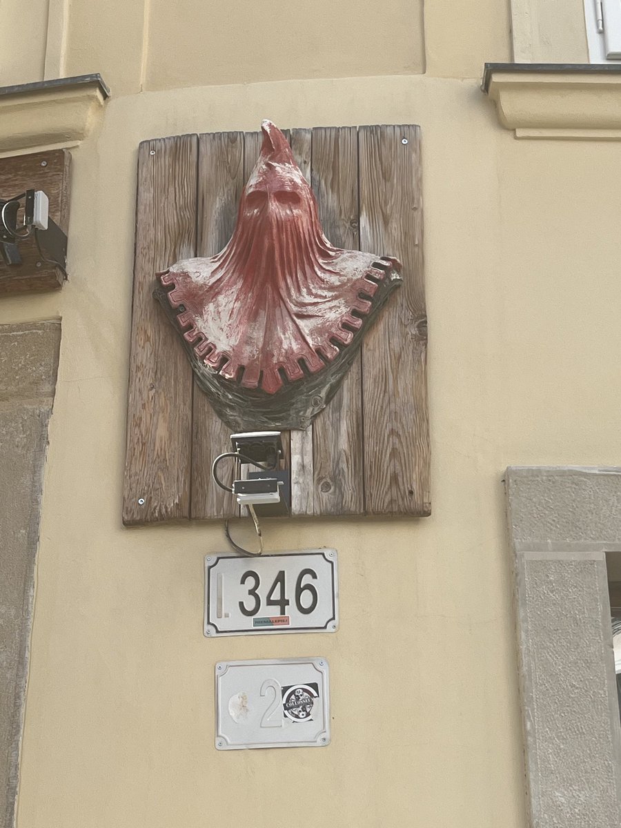 Simadoũzi 🦩🦩🦩 tweet media