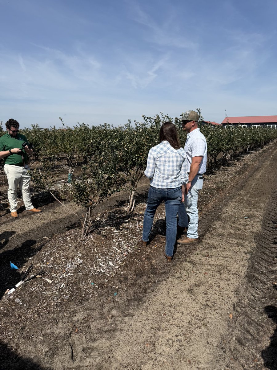 Lance Watson tweet media