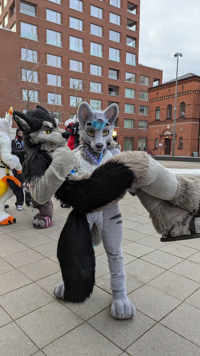 Crash Azarel @NFC tweet media