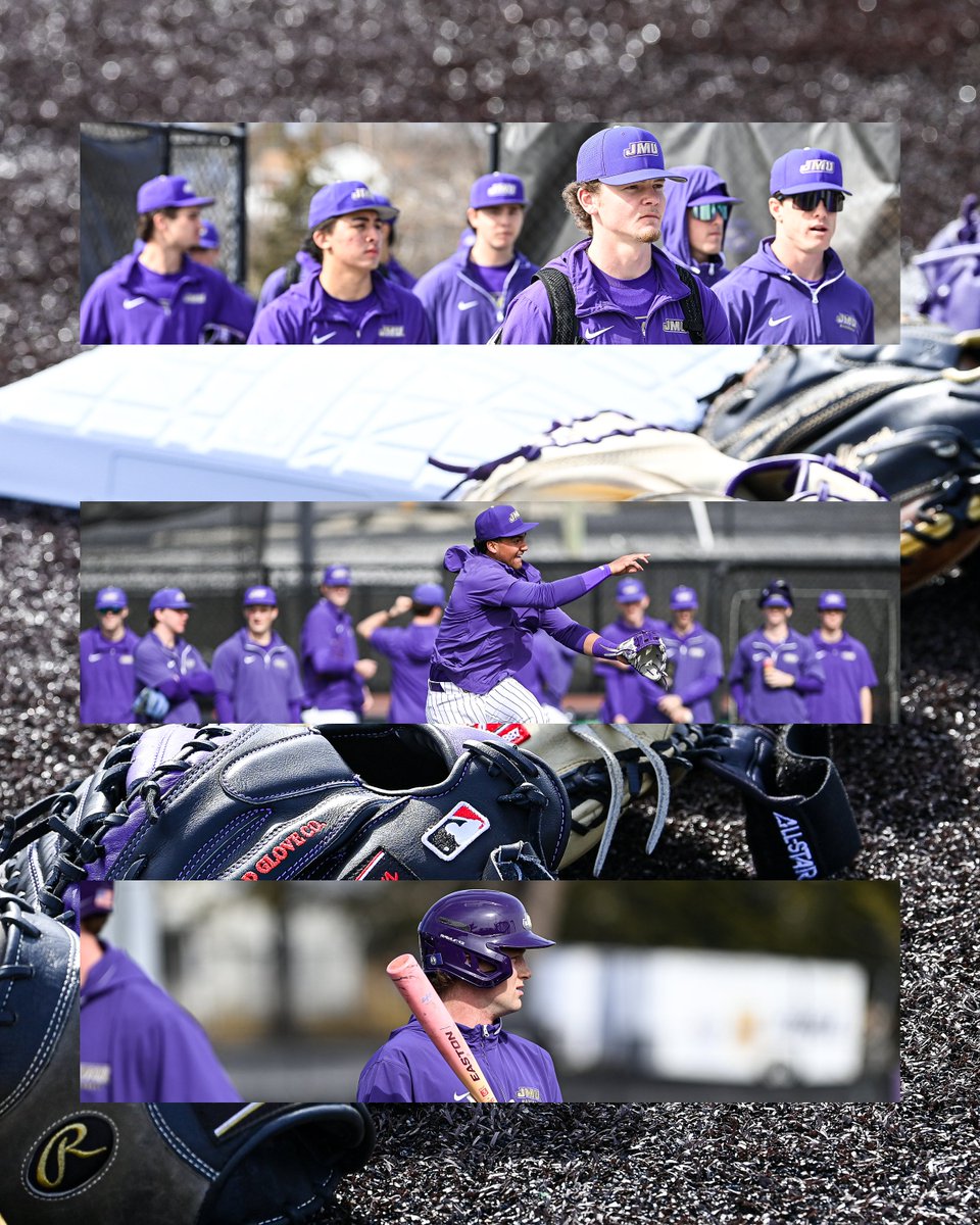 JMU Baseball tweet media