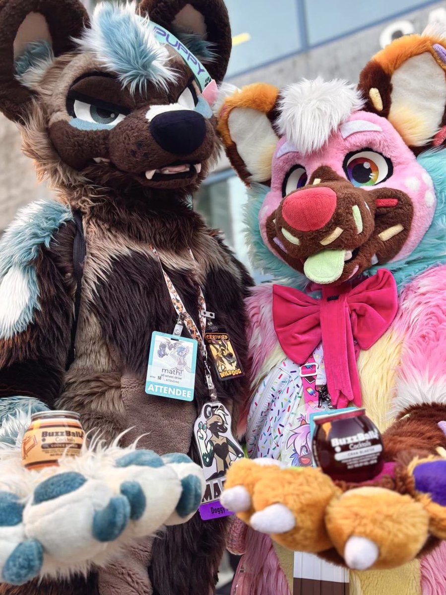 math 🔜 lvfc tweet media