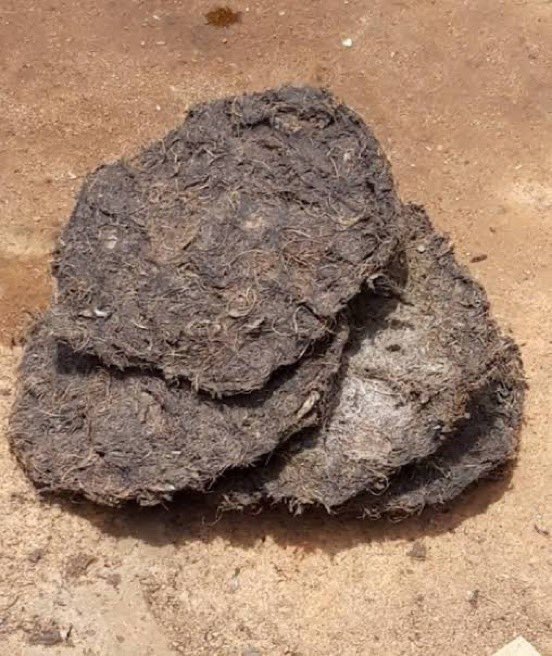 Instablog9ja tweet media