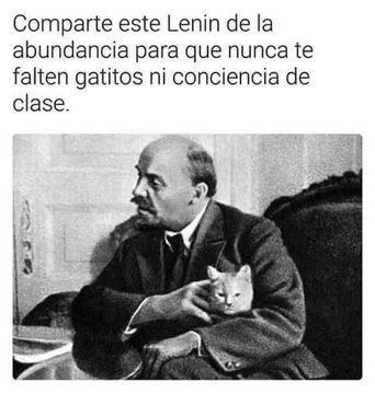 Feliz día del gato, camaradas