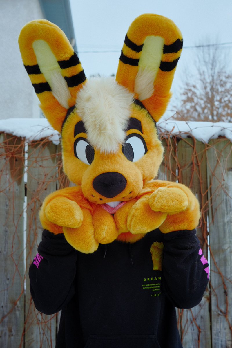 GNAW ‼️ tweet media