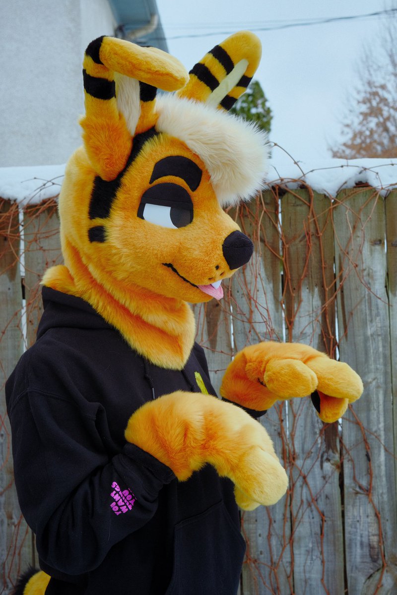 GNAW ‼️ tweet media