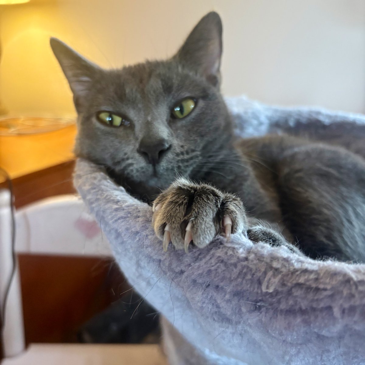 dr. alicia andrzejewski (she/her) tweet media