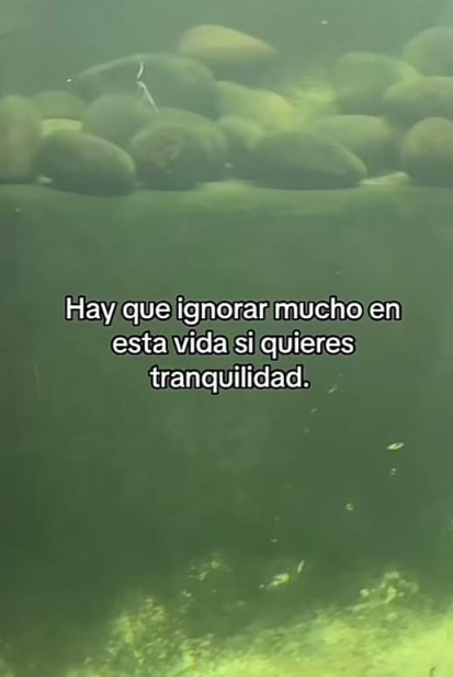Bandidosfrasess's tweet photo. https://t.co/f4ZKi6sfk1