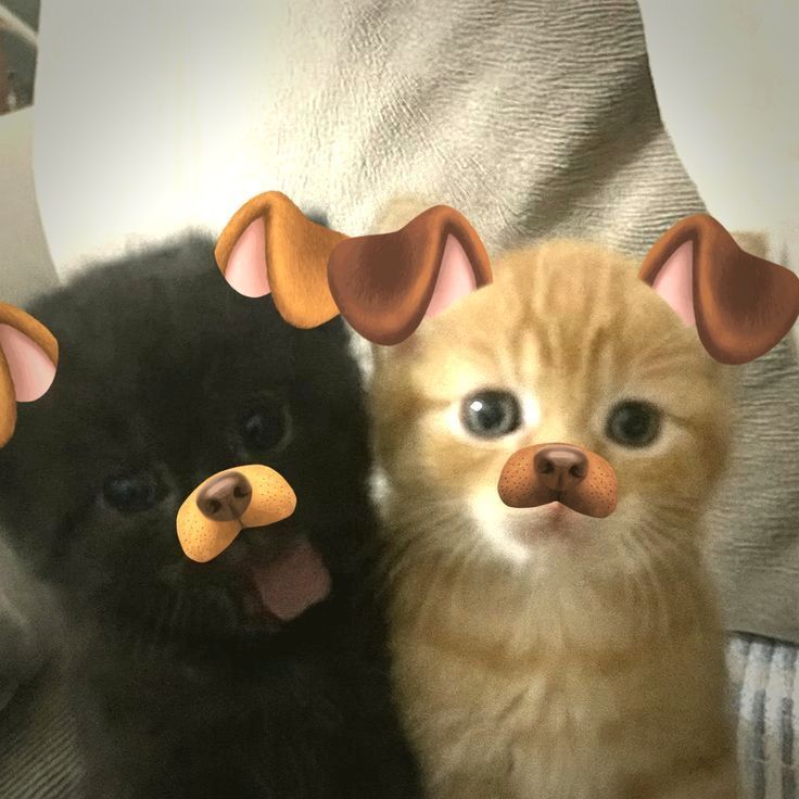 tortadefrango67's tweet image. fazendo vários tweets aqui !! #tweets