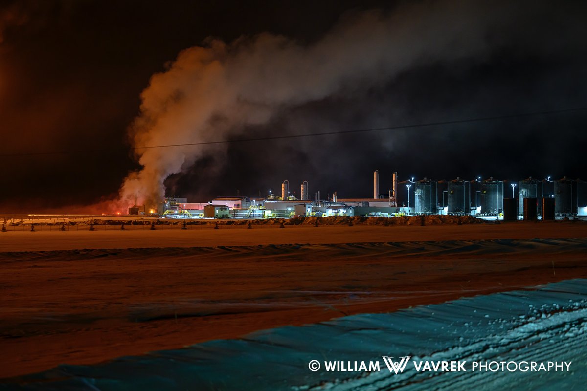 William Vavrek tweet media