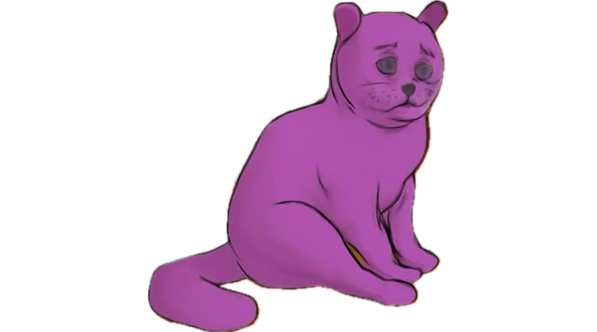 FATGFsCAT tweet media