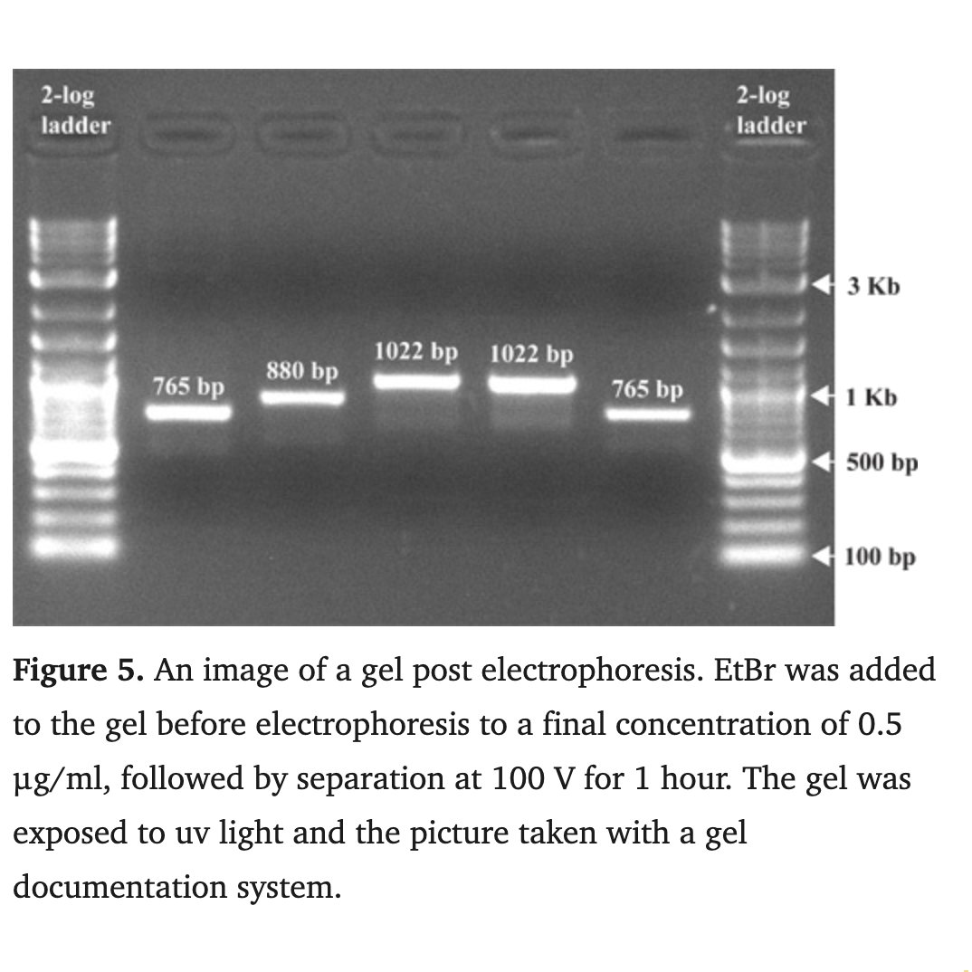 Awesomics tweet media