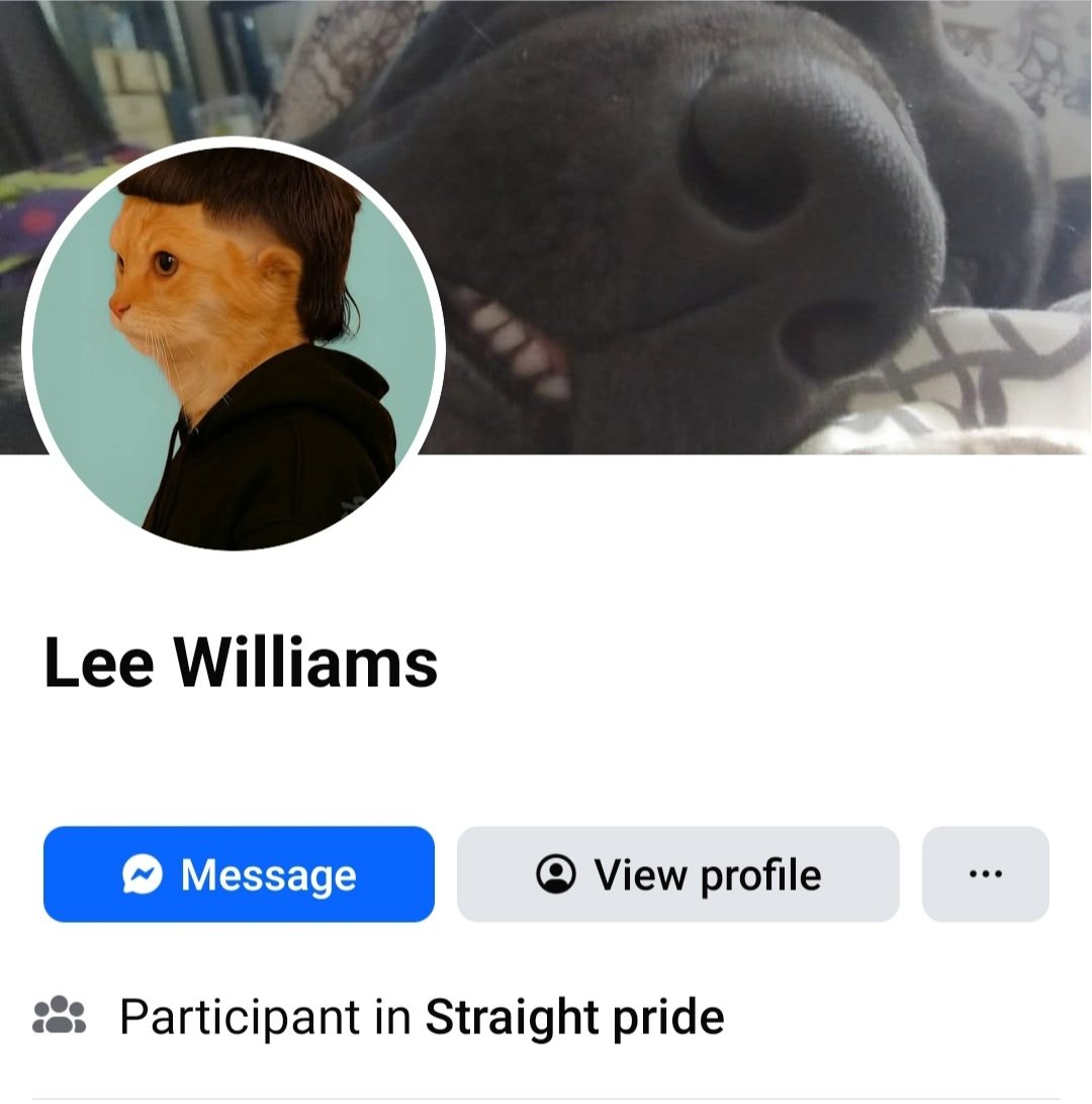 4Fordon's tweet photo. Guy posts some shit on my group page, and we ended up going back and forth. Funny thing is, he says he's not a pussy, but he's wearing a cat filter in his profile picture 😂. https://t.co/W19LMfWQDL