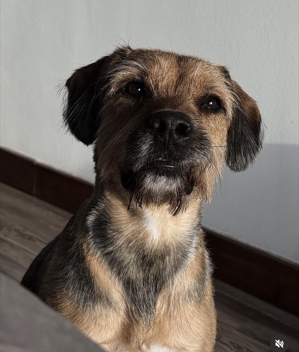 CAPELLI X GALA DE VIÑA apoyando a mamá 🥰