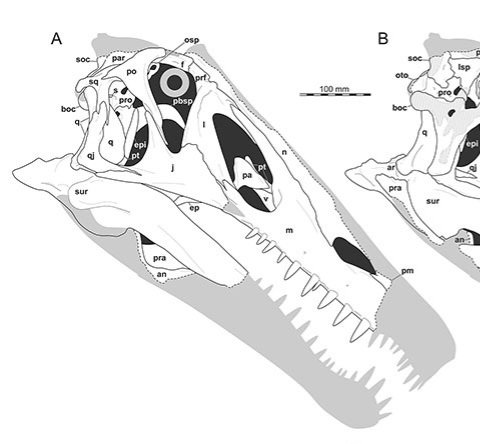 Ole Zant tweet media