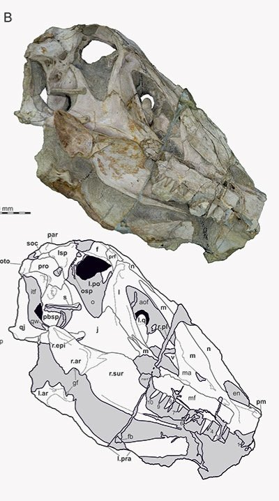 Ole Zant tweet media