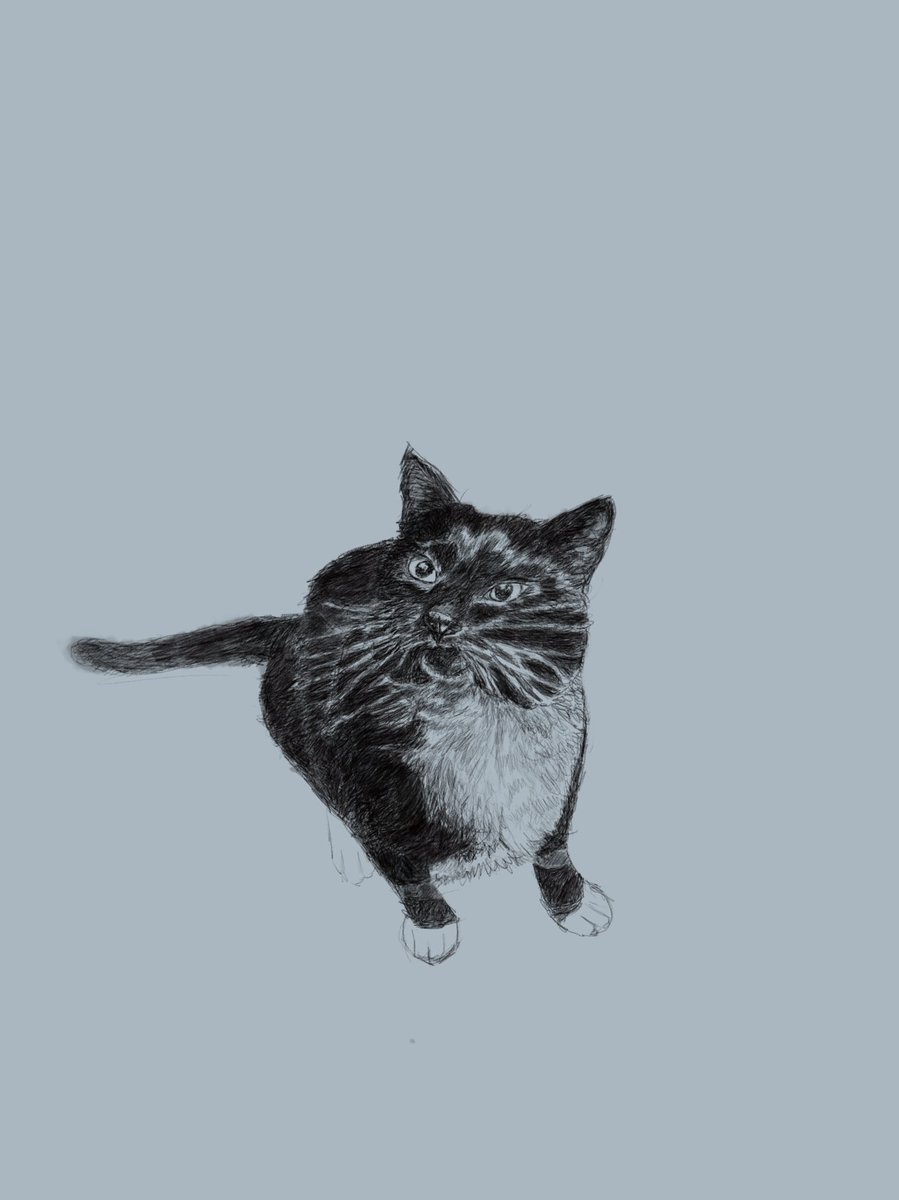 ADDiane's tweet photo. @feederofcats Almost done with my sketch of Mr melt https://t.co/B8lExqtEWG