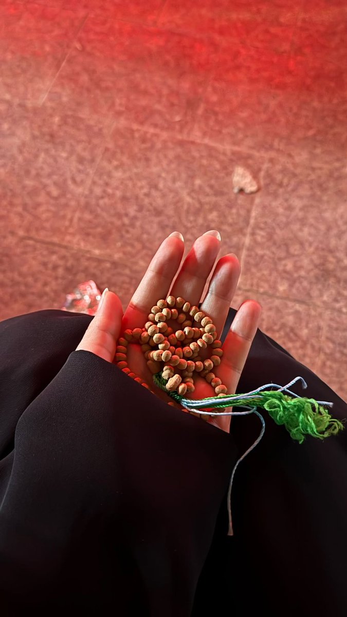 محدثه‌‌مختاری🎒 tweet media