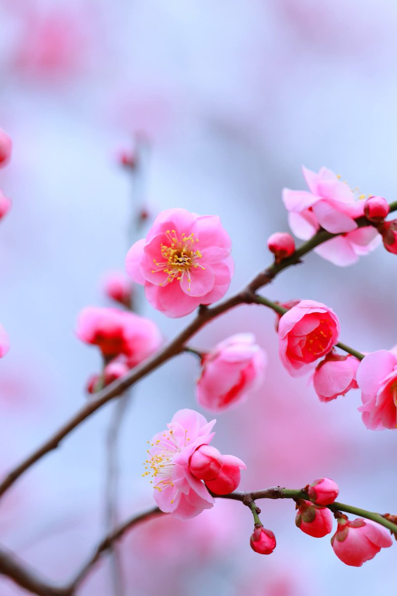 マルマル (@TGIMJcGPFppZZxP) / Posts / X