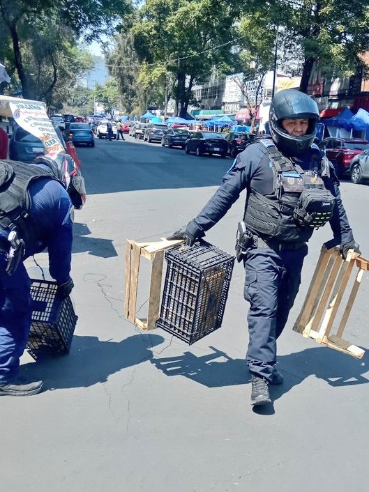 CdmxPolicialV's tweet photo. Tras una denuncia vecinal, la #PolicíaAuxiliar implementó un dispositivo para la recuperación del espacio público, retirando enseres de lugares prohibidos y garantizando el libre tránsito en la zona.
📸: Lilian Chapakoloffon
#libretransito #SeguridadCiudadana #comunidadsegura https://t.co/CBQh7JY1m2