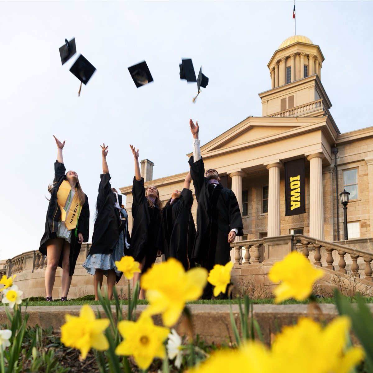 College of Liberal Arts and Sciences at Iowa tweet media