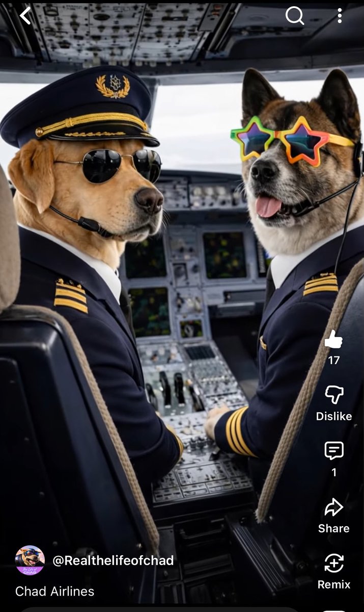 Digital_JohnMcW's tweet photo. Thought this plane had lost the plot…
Turns out it was just a tailspin. 🐕✈️

Captain Chad at the controls.

https://t.co/OdNjpJny99

3/3

#Airplane #DogsKnow https://t.co/Je0giqDert