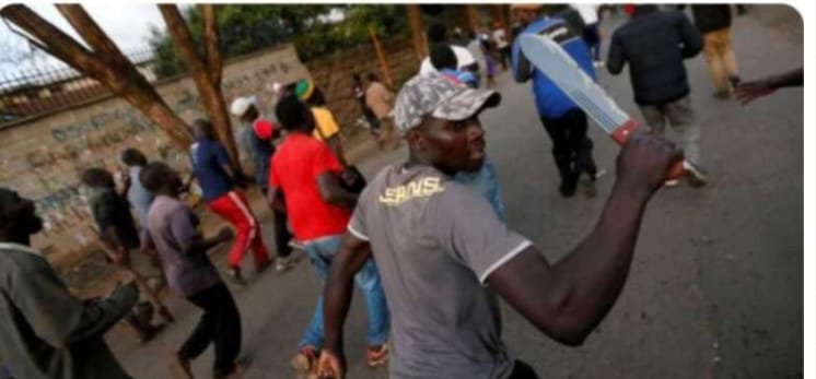 SkandalNews tweet media