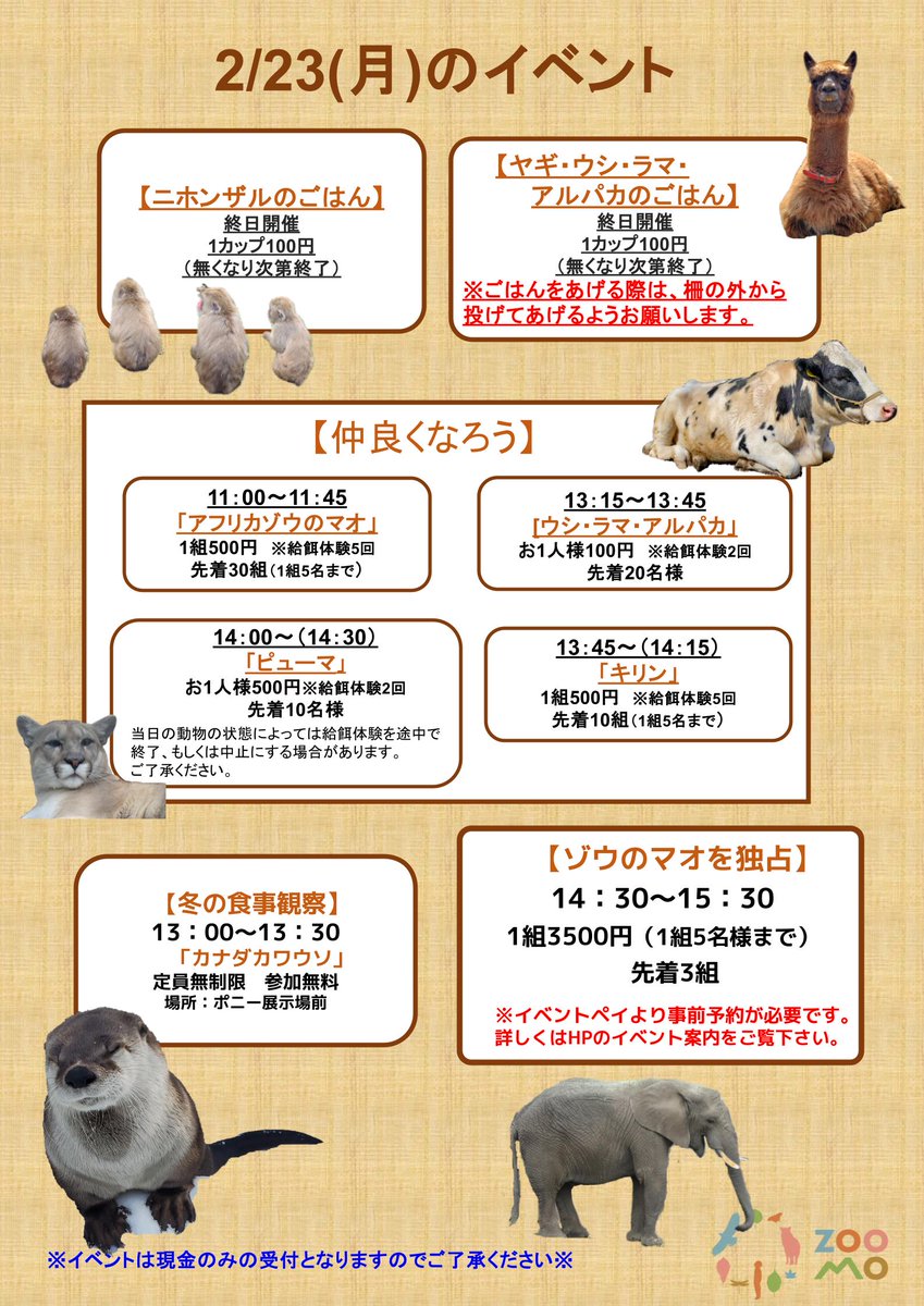 盛岡市動物公園 ZOOMO (@moriokazoo) / Posts / X